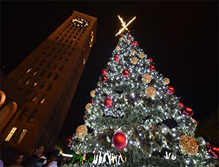 Santuário Nacional inaugura Natal Iluminado